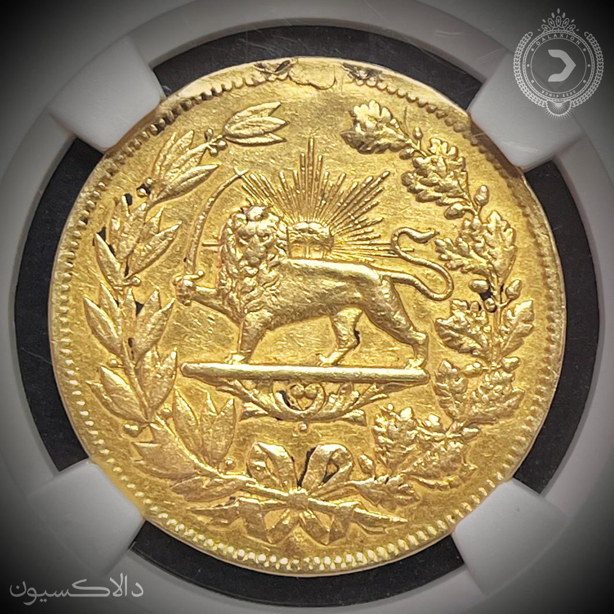 تصویر مدال شیردل ناصرالدین شاه سال 1300 هجری قمری